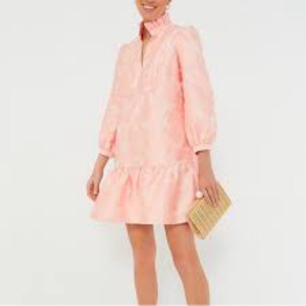 Tuckernuck Pink Mock Neck Ruffled Mini Dress